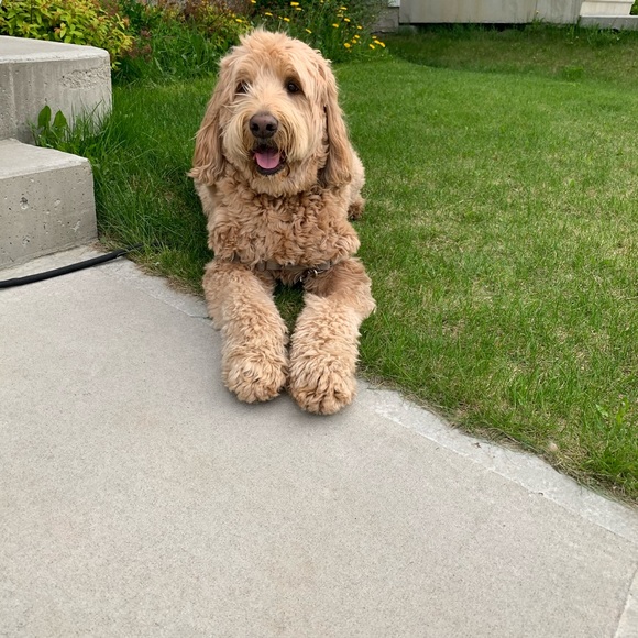 Meet your Posher, Karen - Picture 1 of 1